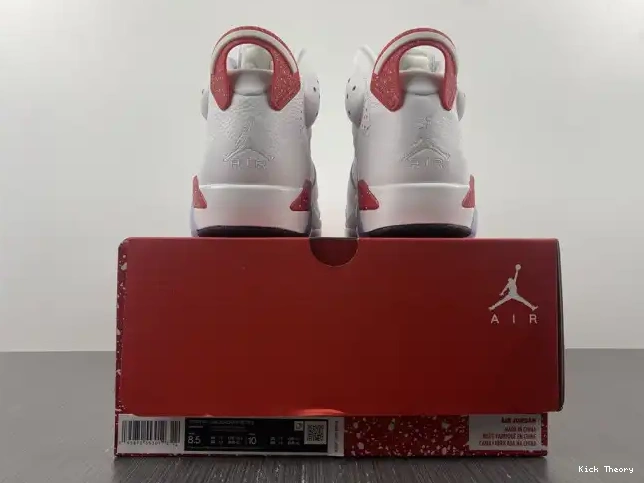 Kick Theory 6 Jordan CT8529-162 Retro Hare 0615